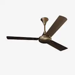 Ceiling Fan Service